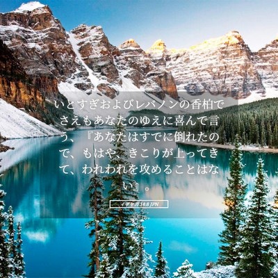 Picture 05 - イザヤ書 14:8 JPN - いとすぎおよびレバノンの香柏でさ - Bible Verse Picture