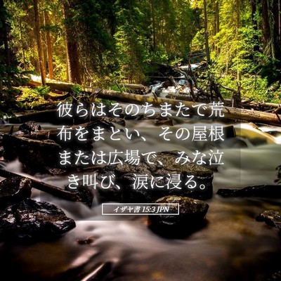 Picture 05 - イザヤ書 15:3 JPN - 彼らはそのちまたで荒布をまとい、 - Bible Verse Picture