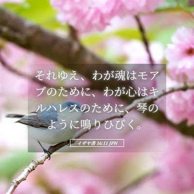 Picture 05 - イザヤ書 16:11 JPN - それゆえ、わが魂はモアブのために - Bible Verse Picture