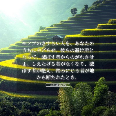 Picture 05 - イザヤ書 16:4 JPN - モアブのさすらい人を、あなたのう - Bible Verse Picture