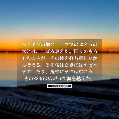 Picture 05 - イザヤ書 16:8 JPN - ヘシボンの畑と、シブマのぶどうの - Bible Verse Picture
