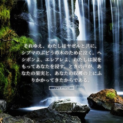 Picture 05 - イザヤ書 16:9 JPN - それゆえ、わたしはヤゼルと共に、 - Bible Verse Picture