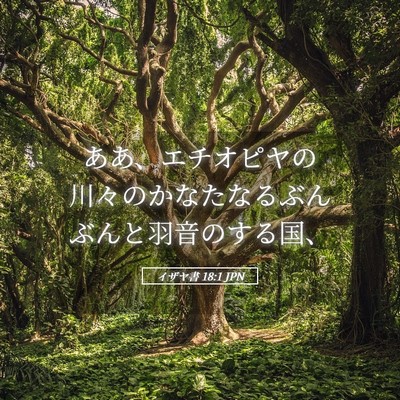 Picture 05 - イザヤ書 18:1 JPN - ああ、エチオピヤの川々のかなたな - Bible Verse Picture