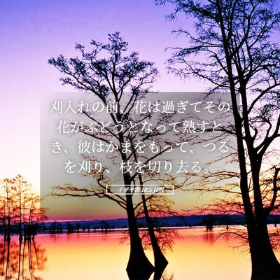 Picture 05 - イザヤ書 18:5 JPN - 刈入れの前、花は過ぎてその花がぶ - Bible Verse Picture