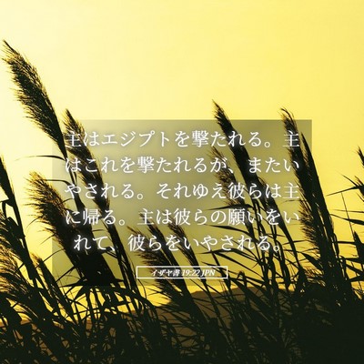 Picture 05 - イザヤ書 19:22 JPN - 主はエジプトを撃たれる。主はこれ - Bible Verse Picture