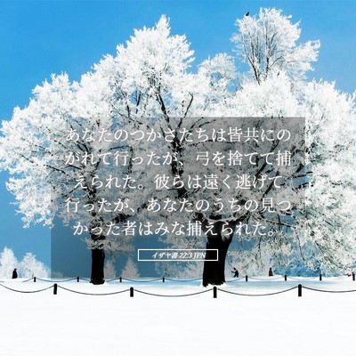 Picture 05 - イザヤ書 22:3 JPN - あなたのつかさたちは皆共にのがれ - Bible Verse Picture