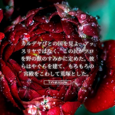 Picture 05 - イザヤ書 23:13 JPN - カルデヤびとの国を見よ、アッスリ - Bible Verse Picture