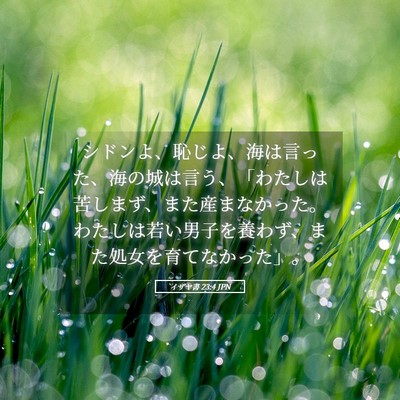 Picture 05 - イザヤ書 23:4 JPN - シドンよ、恥じよ、海は言った、海 - Bible Verse Picture