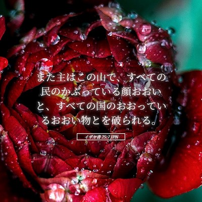 Picture 05 - イザヤ書 25:7 JPN - また主はこの山で、すべての民のか - Bible Verse Picture