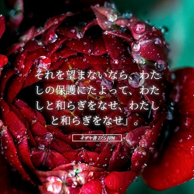 Picture 05 - イザヤ書 27:5 JPN - それを望まないなら、わたしの保護 - Bible Verse Picture