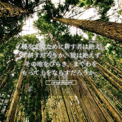 Picture 05 - イザヤ書 28:24 JPN - 種をまくために耕す者は絶えず耕す - Bible Verse Picture