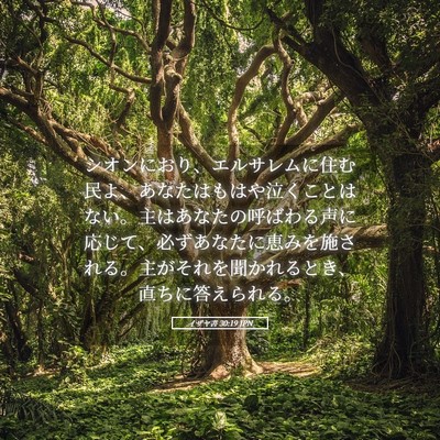 Picture 05 - イザヤ書 30:19 JPN - シオンにおり、エルサレムに住む民 - Bible Verse Picture