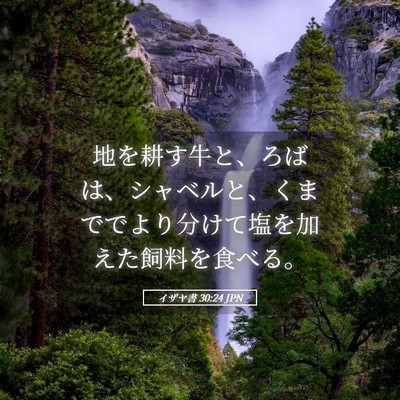 Picture 05 - イザヤ書 30:24 JPN - 地を耕す牛と、ろばは、シャベルと - Bible Verse Picture