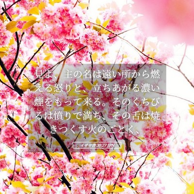 Picture 05 - イザヤ書 30:27 JPN - 見よ、主の名は遠い所から燃える怒 - Bible Verse Picture