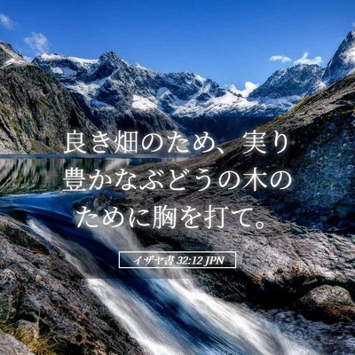 Picture 05 - イザヤ書 32:12 JPN - 良き畑のため、実り豊かなぶどうの - Bible Verse Picture