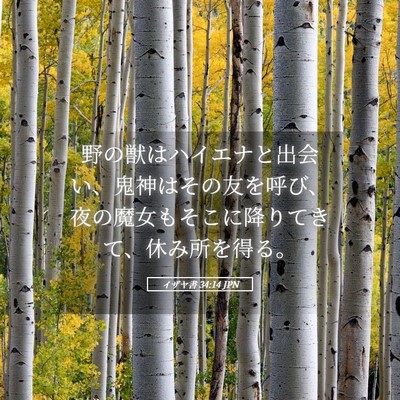 Picture 05 - イザヤ書 34:14 JPN - 野の獣はハイエナと出会い、鬼神は - Bible Verse Picture