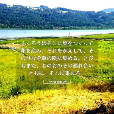 Picture 05 - イザヤ書 34:15 JPN - ふくろうはそこに巣をつくって卵を - Bible Verse Picture