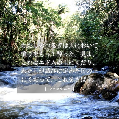Picture 05 - イザヤ書 34:5 JPN - わたしのつるぎは天において憤りを - Bible Verse Picture