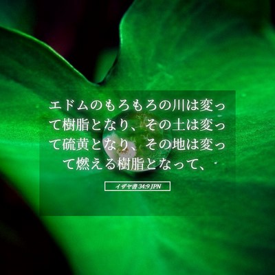 Picture 05 - イザヤ書 34:9 JPN - エドムのもろもろの川は変って樹脂 - Bible Verse Picture