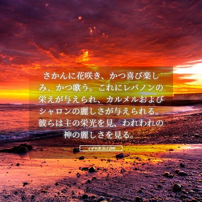 Picture 05 - イザヤ書 35:2 JPN - さかんに花咲き、かつ喜び楽しみ、 - Bible Verse Picture