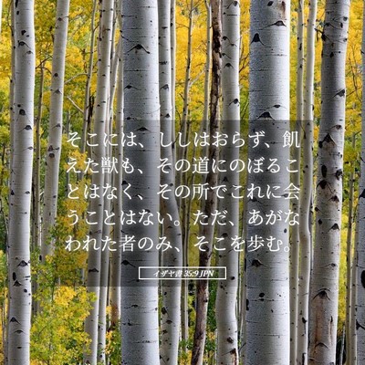 Picture 05 - イザヤ書 35:9 JPN - そこには、ししはおらず、飢えた獣 - Bible Verse Picture