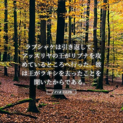 Picture 05 - イザヤ書 37:8 JPN - ラブシャケは引き返して、アッスリ - Bible Verse Picture