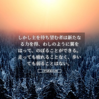 Picture 05 - イザヤ書 40:31 JPN - しかし主を待ち望む者は新たなる力 - Bible Verse Picture
