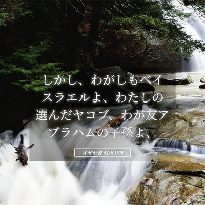 Picture 05 - イザヤ書 41:8 JPN - しかし、わがしもべイスラエルよ、 - Bible Verse Picture