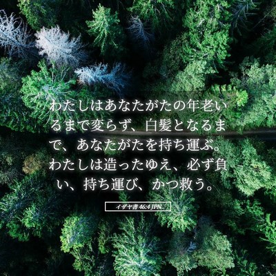 Picture 05 - イザヤ書 46:4 JPN - わたしはあなたがたの年老いるまで - Bible Verse Picture