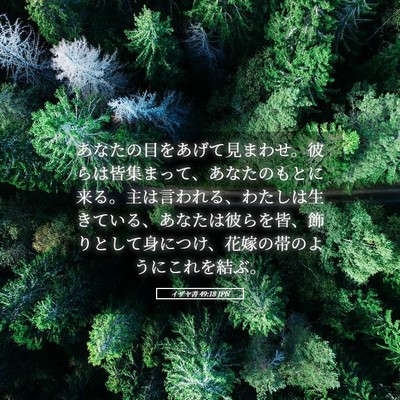 Picture 05 - イザヤ書 49:18 JPN - あなたの目をあげて見まわせ。彼ら - Bible Verse Picture