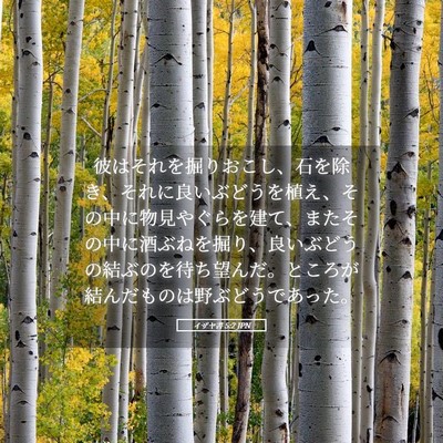Picture 05 - イザヤ書 5:2 JPN - 彼はそれを掘りおこし、石を除き、 - Bible Verse Picture