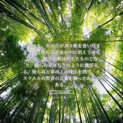 Picture 05 - イザヤ書 5:24 JPN - それゆえ、火の舌が刈り株を食い尽 - Bible Verse Picture