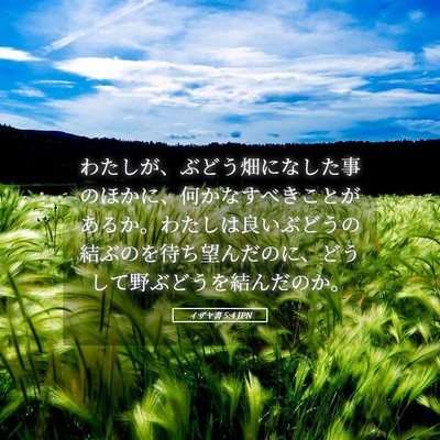 Picture 05 - イザヤ書 5:4 JPN - わたしが、ぶどう畑になした事のほ - Bible Verse Picture