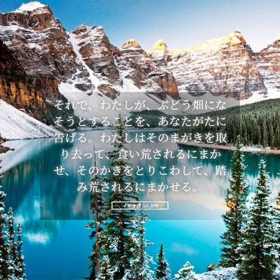 Picture 05 - イザヤ書 5:5 JPN - それで、わたしが、ぶどう畑になそ - Bible Verse Picture
