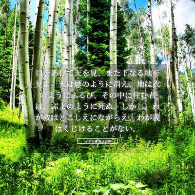 Picture 05 - イザヤ書 51:6 JPN - 目をあげて天を見、また下なる地を - Bible Verse Picture
