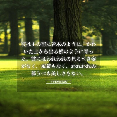 Picture 05 - イザヤ書 53:2 JPN - 彼は主の前に若木のように、かわい - Bible Verse Picture