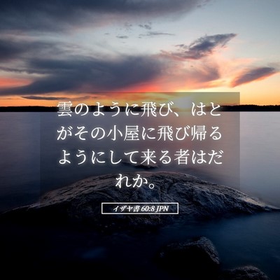 Picture 05 - イザヤ書 60:8 JPN - 雲のように飛び、はとがその小屋に - Bible Verse Picture