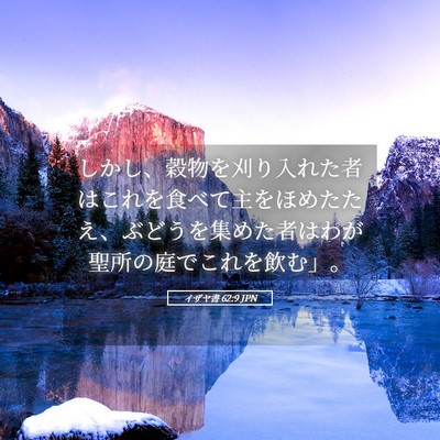 Picture 05 - イザヤ書 62:9 JPN - しかし、穀物を刈り入れた者はこれ - Bible Verse Picture