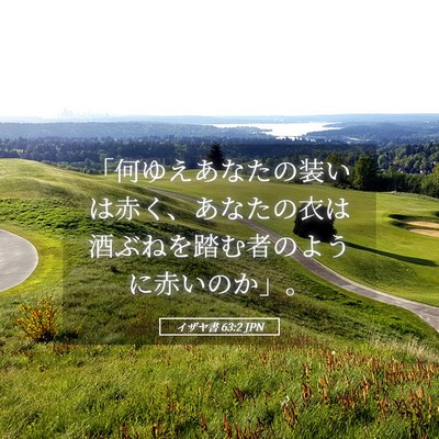 Picture 05 - イザヤ書 63:2 JPN - 「何ゆえあなたの装いは赤く、あな - Bible Verse Picture