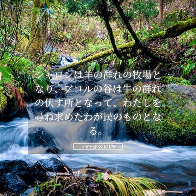 Picture 05 - イザヤ書 65:10 JPN - シャロンは羊の群れの牧場となり、 - Bible Verse Picture