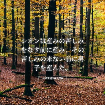 Picture 05 - イザヤ書 66:7 JPN - シオンは産みの苦しみをなす前に産 - Bible Verse Picture