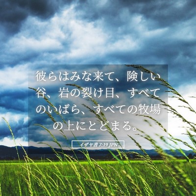 Picture 05 - イザヤ書 7:19 JPN - 彼らはみな来て、険しい谷、岩の裂 - Bible Verse Picture