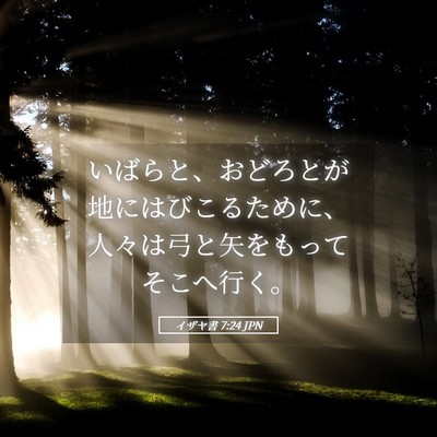 Picture 05 - イザヤ書 7:24 JPN - いばらと、おどろとが地にはびこる - Bible Verse Picture