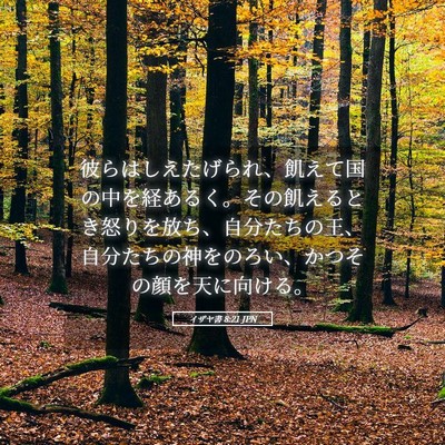 Picture 05 - イザヤ書 8:21 JPN - 彼らはしえたげられ、飢えて国の中 - Bible Verse Picture