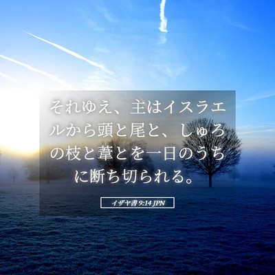 Picture 05 - イザヤ書 9:14 JPN - それゆえ、主はイスラエルから頭と - Bible Verse Picture