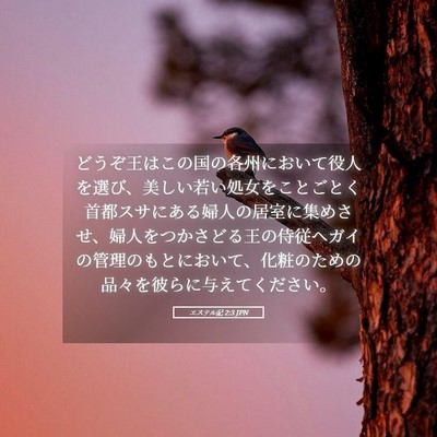 Picture 05 - エステル記 2:3 JPN - どうぞ王はこの国の各州において役 - Bible Verse Picture