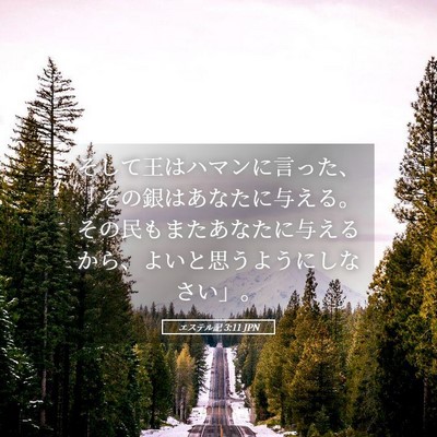 Picture 05 - エステル記 3:11 JPN - そして王はハマンに言った、「その - Bible Verse Picture