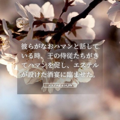 Picture 05 - エステル記 6:14 JPN - 彼らがなおハマンと話している時、 - Bible Verse Picture