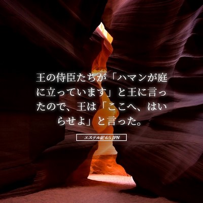 Picture 05 - エステル記 6:5 JPN - 王の侍臣たちが「ハマンが庭に立っ - Bible Verse Picture