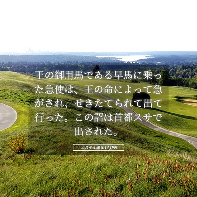Picture 05 - エステル記 8:14 JPN - 王の御用馬である早馬に乗った急使 - Bible Verse Picture